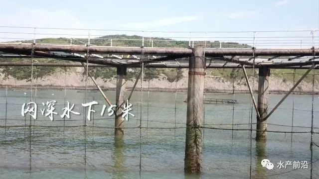海上养殖鱼排_致富经大海鱼排养殖_致富大海养殖排鱼怎么样