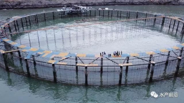致富经大海鱼排养殖_致富大海养殖排鱼怎么样_海上养殖鱼排