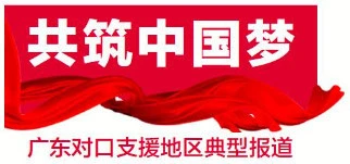 2021年种植天麻前景如何_创业小项目种植天麻_天麻种植致富案例