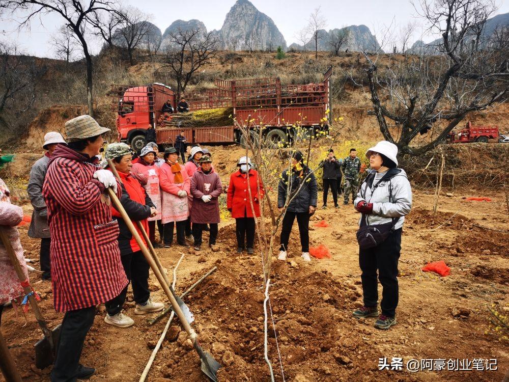 农村有哪些种植致富项目_农村致富新项目种植_致富种植农村项目有哪些项目