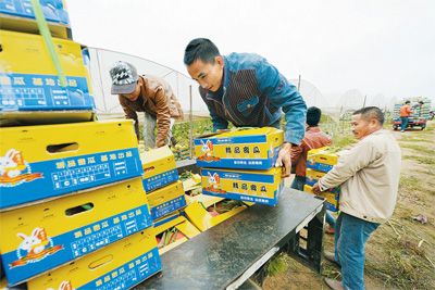 宁海养猪场_宁波养殖致富_宁海养殖致富历史