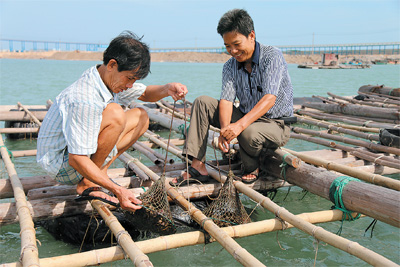 宁波养殖致富_宁海养殖致富历史_宁海养猪场