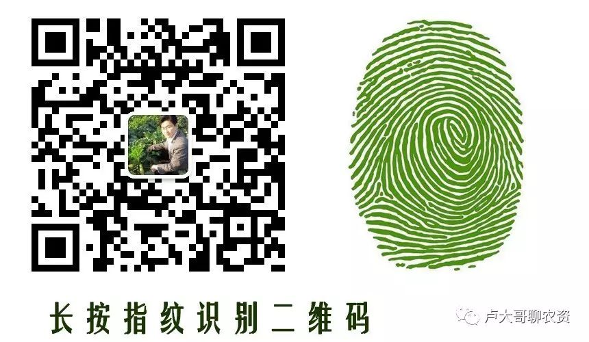 三号辣椒种植技术_辣椒种植技术指导_辣椒种植技术大全