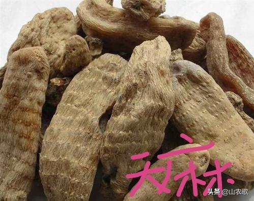 中药种植致富方案_致富中药种植方案设计_致富药材种植