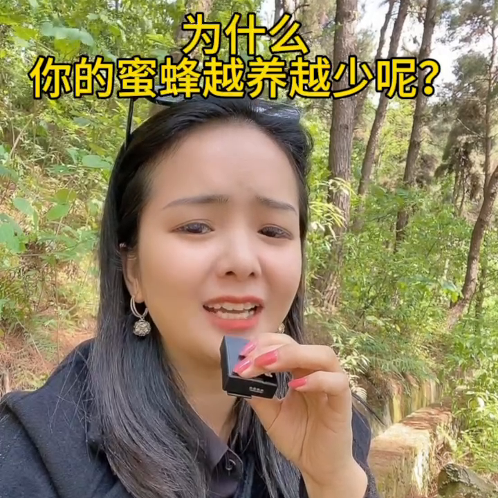 养蜂视频大全_家庭密蜂养殖技术视频_养蜂养殖技术视频播放