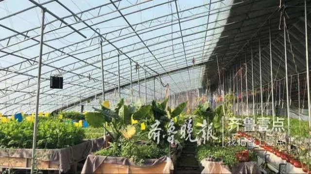 重庆鱼洞鱼胡路公租房_重庆虹鳟鱼养殖基地_致富经 虹鳟鱼 重庆