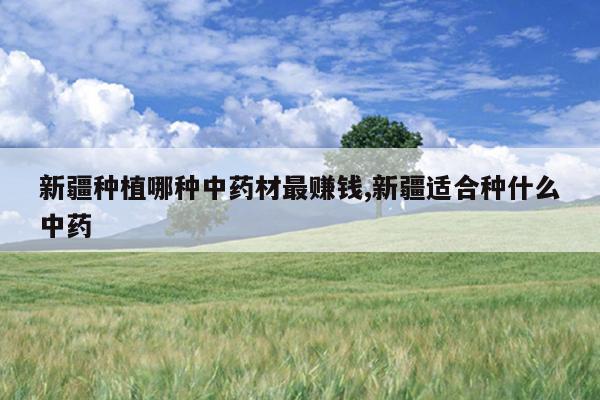 中药关防风的种植技术_中药材防风种植技术_中药防风种植效益成本