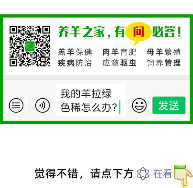 大尾寒羊养殖技术_小尾寒羊养殖视频_小尾寒羊养殖成本利润