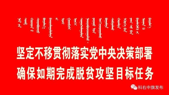 致富经养牛致富故事_致富经创业养殖牛视频_养殖牛致富故事