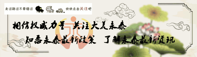 返乡创业青年巧种空心菜  亩产值达2万元