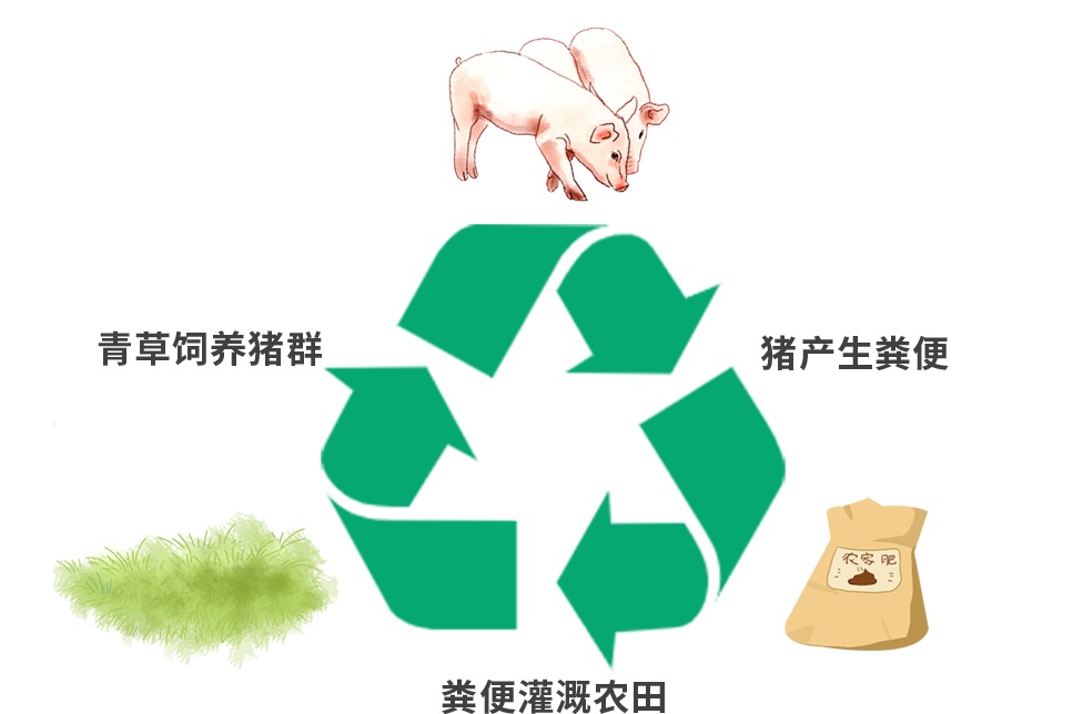 和佳养殖种植技术网_佳和养殖有限公司_养殖种植和佳网技术有关系吗
