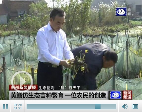 黄鳝人工仿生态苗种繁育 一位荆州农民的创造
