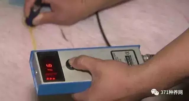 致富养殖网站官网_致富养殖网站_致富养殖信息