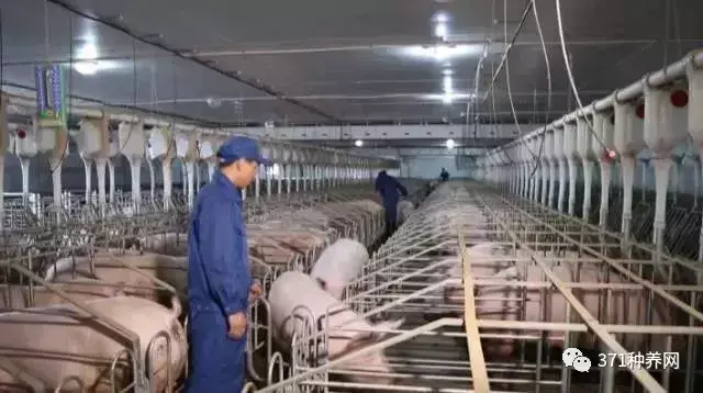 致富养殖信息_致富养殖网站_致富养殖网站官网