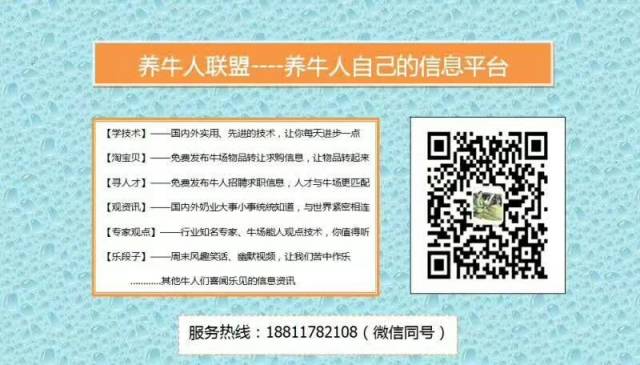 鲁西黄牛的养殖技术_鲁西黄牛养殖视频农广天地_鲁西黄牛养殖技术视频