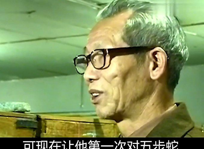 农村五步蛇_致富经五步蛇_五步蛇价钱