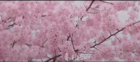 抖音知名旅游博主排行榜_抖音旅游优质博主经验_旅游博主抖音简介怎么写