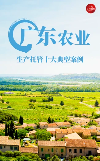 典型案例经验材料_典型案例优质经验服务怎么写_优质服务典型经验案例