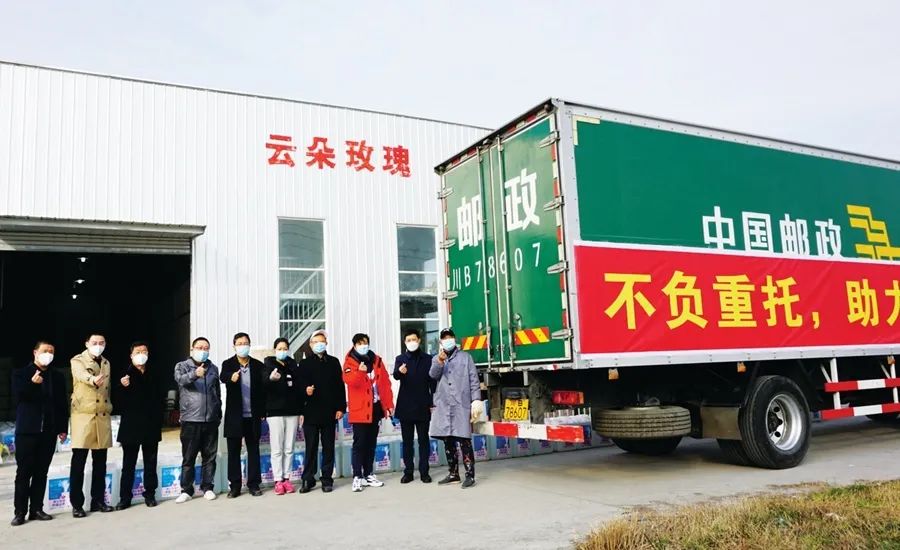 农业科技玫瑰种植技术_玫瑰种植技术资料_科技玫瑰种植农业技术研究