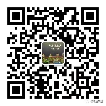 玫瑰种植技术资料_农业科技玫瑰种植技术_玫瑰种植技术视频教程