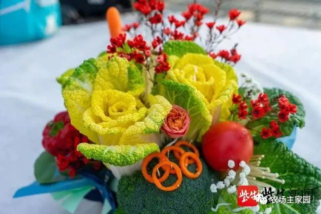 农业科技玫瑰种植技术_玫瑰种植技术资料_玫瑰种植技术视频教程