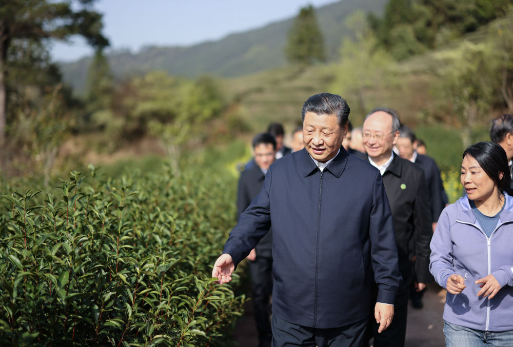 致富种植什么比较赚大钱_种植致富的秘诀_种植致富新项目