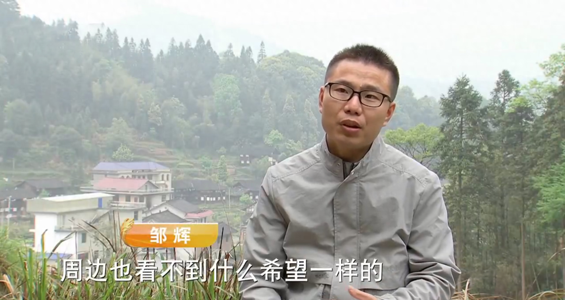 农民致富种植黄精_农民致富种植黄精_农民致富种植黄精