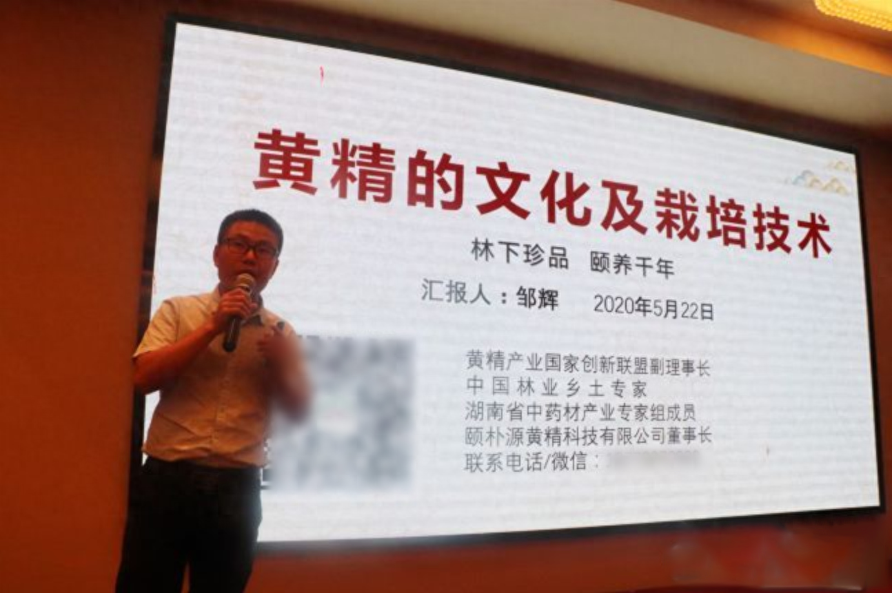 农民致富种植黄精_农民致富种植黄精_农民致富种植黄精