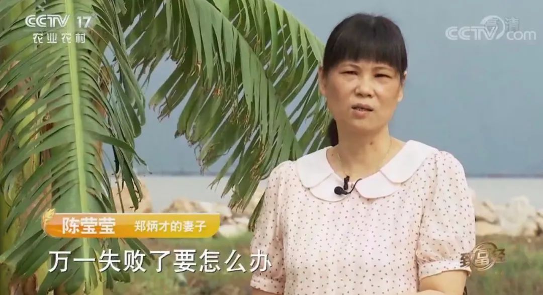致富经青蟹养殖视频_致富经养青蟹视频_养殖青蟹新技术