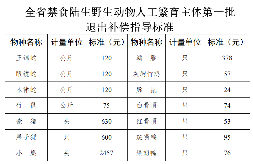 致富经养竹鼠视频合集_养殖竹鼠视频_养殖竹鼠赚钱吗