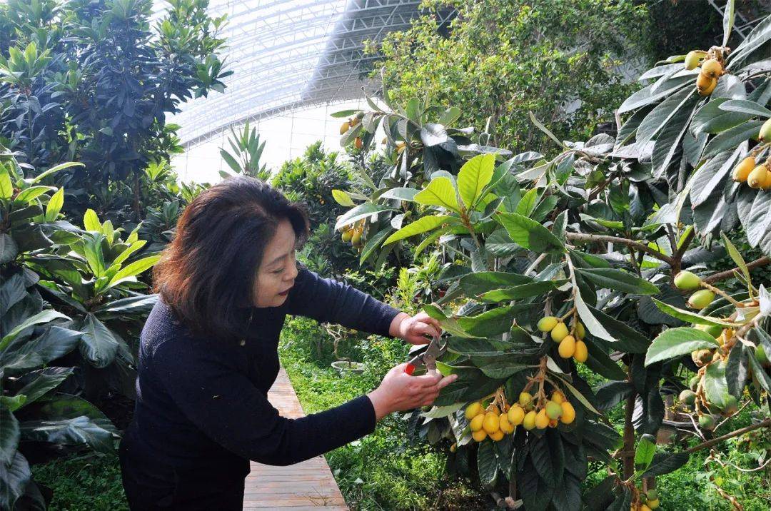致富增收产业旺 丰满四季瓜果香——吉林市丰满区棚膜采摘见闻