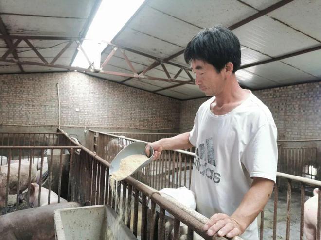 一位科技型“猪倌”的致富路