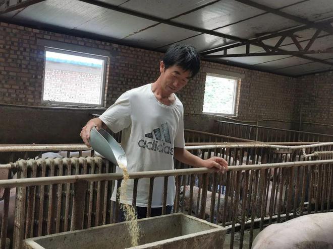 致富女婿养殖宝典免费阅读_女婿养殖致富宝典_致富女婿养殖宝典下载