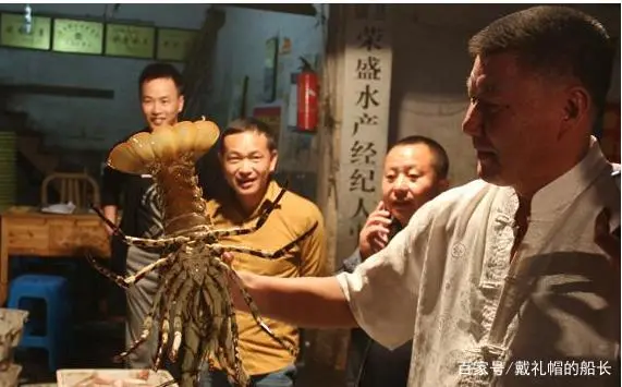 4斤重的龙虾，一只能卖6万元，很多养殖户一年收入百万