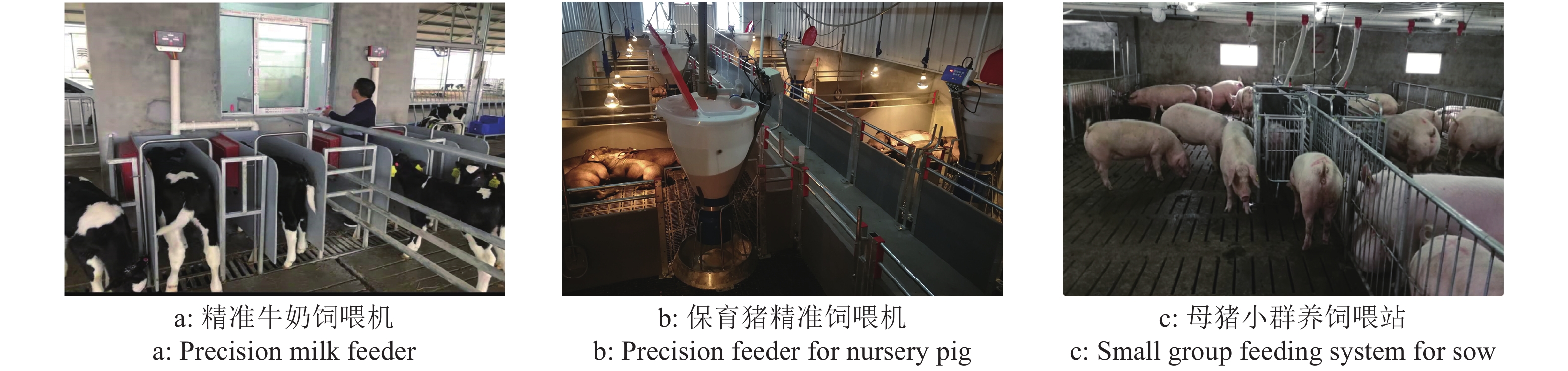 竹溜养殖技术_竹的养殖_竹溜养殖吃什么