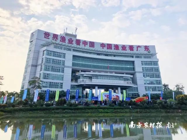 比利时的鱼_比利时水产养殖技术_比利时养殖水产技术怎么样