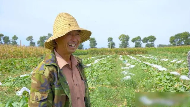 农村种植玉米致富经历_玉米种植大户致富_种玉米创业