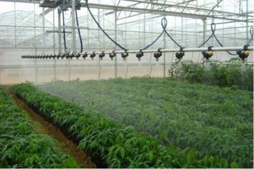 现代化新型农业的4大种植模式，13种栽培方式，你与哪一款更配？