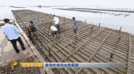 海水龙虾养殖技术视频_海洋龙虾养殖_海水养殖龙虾前景怎么样