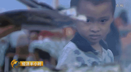 海洋龙虾养殖_海水养殖龙虾前景怎么样_海水龙虾养殖技术视频