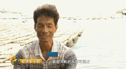 海水养殖龙虾前景怎么样_海水龙虾养殖技术视频_海洋龙虾养殖
