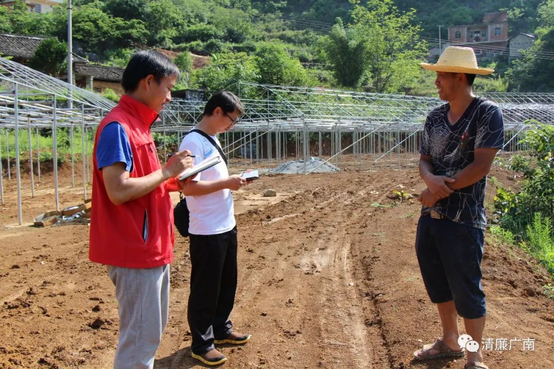 养殖黑蚂蚁致富_黑蚂蚁养殖技术视频_黑蚂蚁养殖骗局
