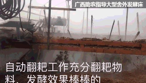 大棚鸡养殖技术视频_大棚养鸡视频大全_大棚养鸡怎么样