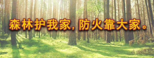 大棚养鸡视频大全_大棚鸡养殖技术视频_大棚鸡的养殖技术