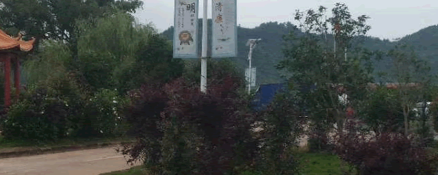 关中奶山羊养殖视频_关中奶山羊养殖技术_关中奶山羊饲养管理