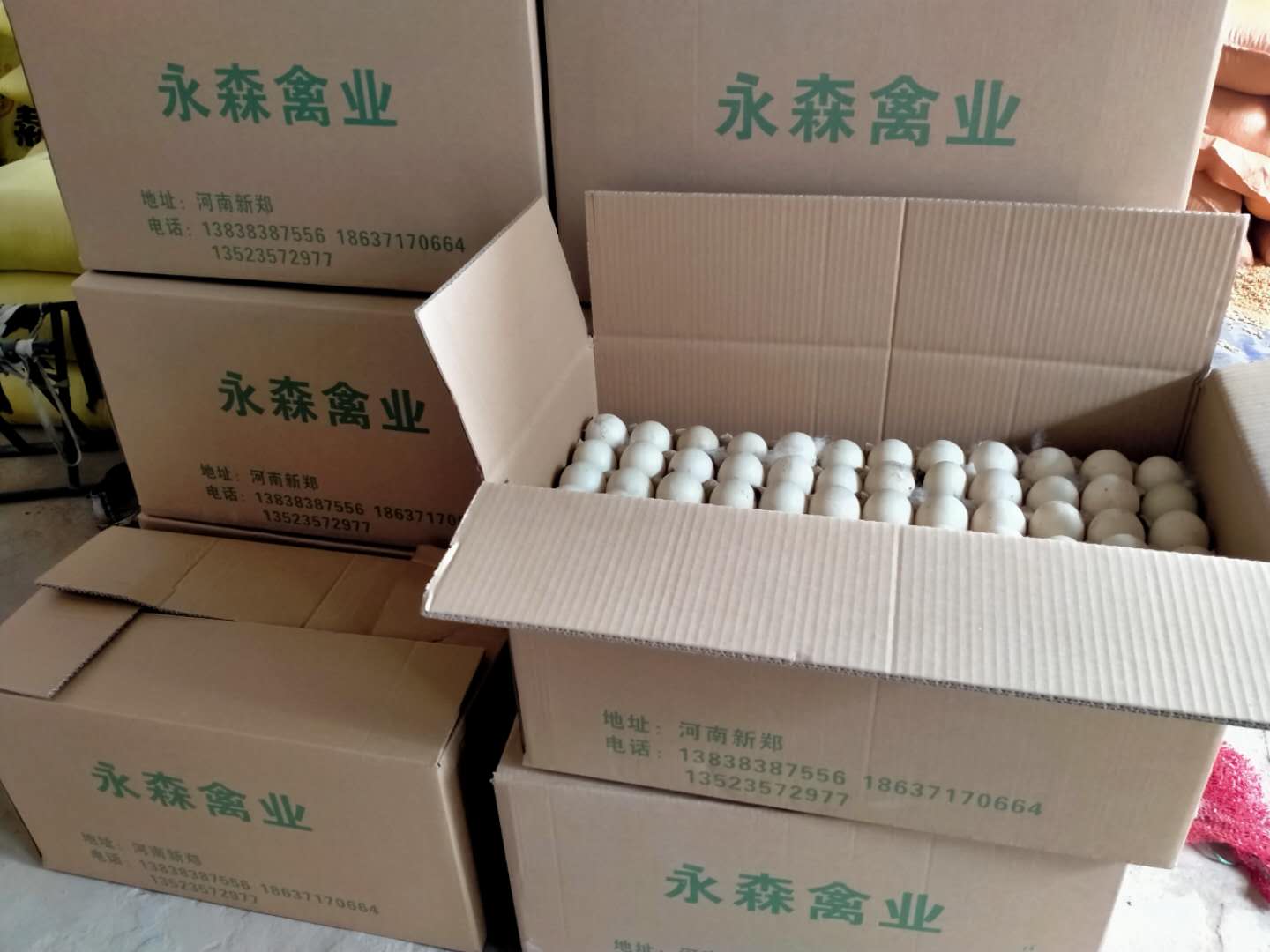 番鸭养殖效益_致富经番鸭养殖技术_养殖番鸭技术与管理