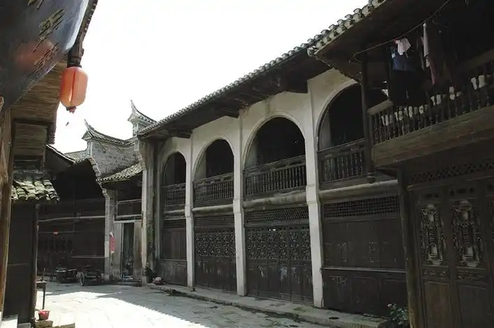 种植桐子树致富_种桐子树挣钱吗_种桐子树国家补贴吗