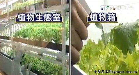 东京住宿价格