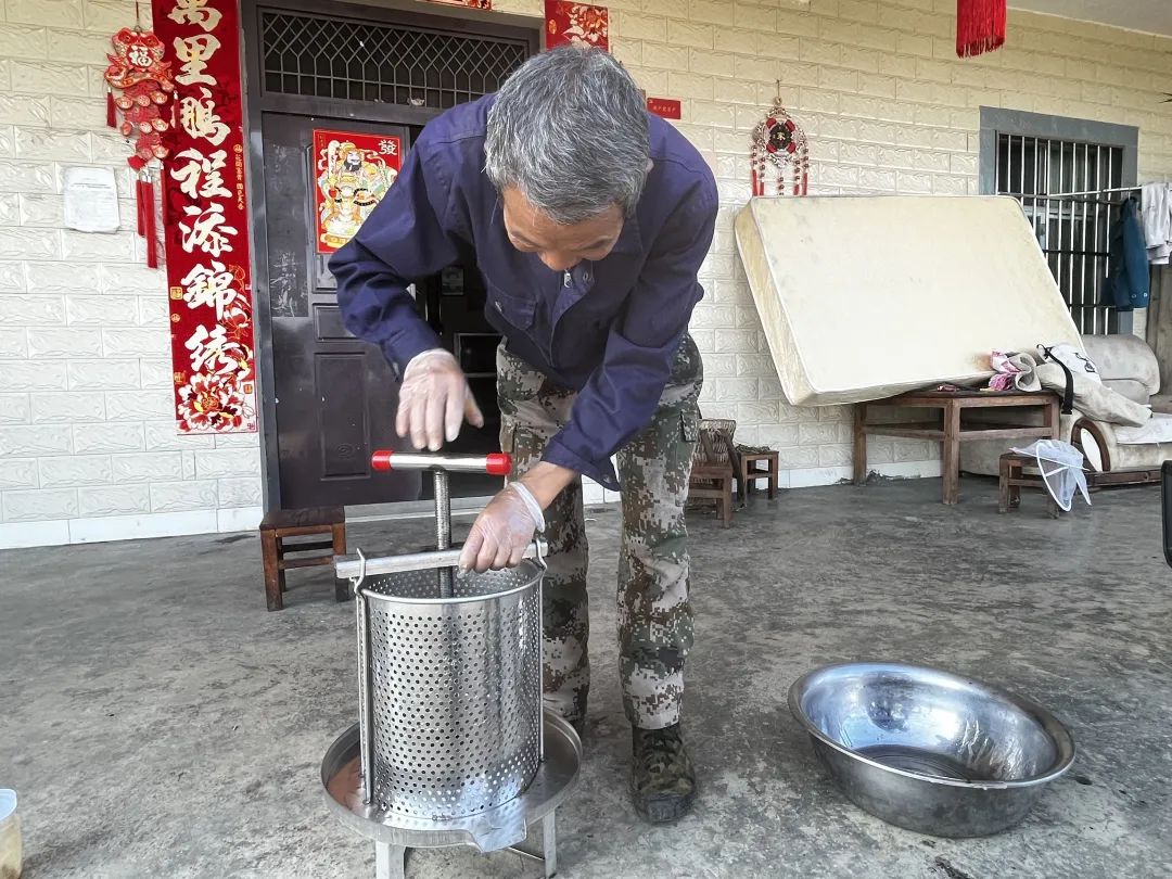 养殖蜂蜜致富_养殖蜂蜜价格是多少_致富经土蜂蜜养殖