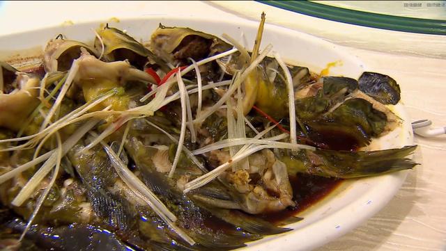 黄腊丁的养殖技术_养黄蜡丁喂什么食物_饲养黄腊丁喂什么食物